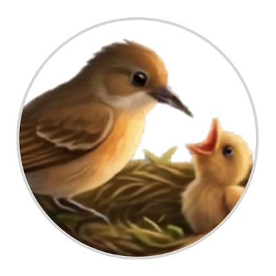 Bird illustration