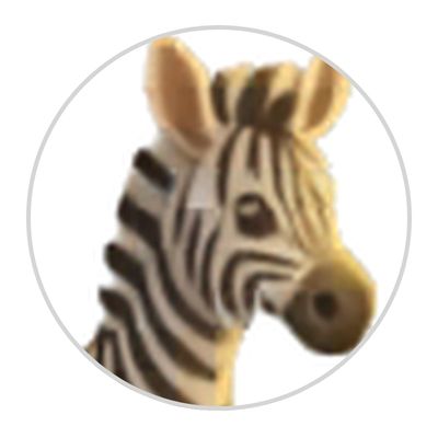 Zebra illustration